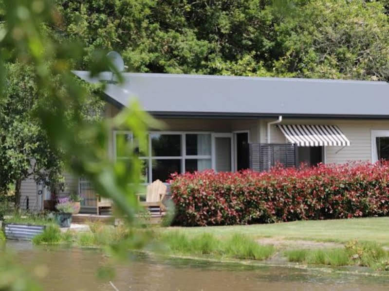 Revive On Oakview Boutique Beauty And Accommodation Ashburton Exteriér fotografie